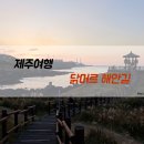 닭머르해안길 | 제주 닭머르해안길, 일몰 그리고 갈대