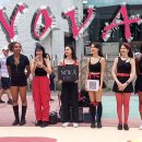 노바도라 이미지