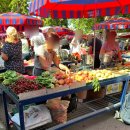 아름다운삼포별장민박 | (#10) 2024.06.08 스플리트에서 두브로브니크 🇭🇷