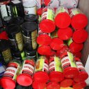 영스포츠 이미지