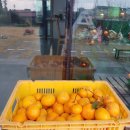 소박한 민박 이미지