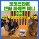 덴탈이유 | 강아지 덴탈껌 이유있는 추천 코코브라운 덴탈 바게트 미니