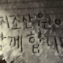 둥지조산원 이미지