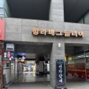 토리헤어 청라점 | 인천 청라 미용실 토리헤어 극손상모 펌 첫방문 후기