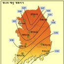 개나리써비스 이미지