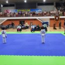 천마 태권도장 이미지