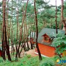 백아산노치산촌생태마을 뉴시스