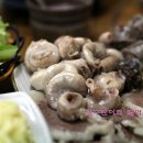 시골돼지국밥 Daum카페