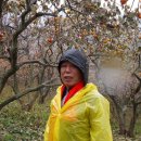 곰소농장 이미지