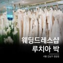 [워킹으로 결혼준비] 웨딩드레스 피팅 후기 : 루치아박
