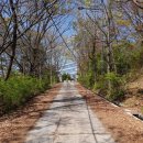 학성상회 이미지