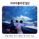 망원어린이집 옥상놀이터 | 경기도 아기랑 아쿠아플라넷 일산 주말 방문 후기 | 할인 및 주차