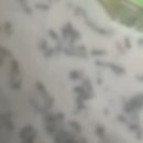 진성환경 이미지