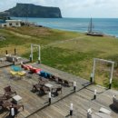 호랑호랑 이미지