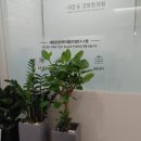 대장동경희한의원 이미지