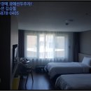서귀동-46 네이버블로그
