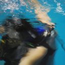 전주시청 스쿠버다이빙 체험(1차) 6 이미지