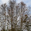 벽천공원(도시공원) 이미지