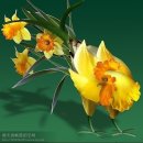 꽃보다닭 이미지