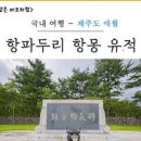 제주도 항몽유적전시관 갬성여행 이미지