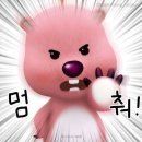 웨딩프로포즈 이미지