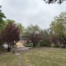금꽃공인중개사사무소 | 공동사용승낙서 포함! 공인중개사 사무소 개설 절차 및 필요서류 + 무상 임대차 계약서