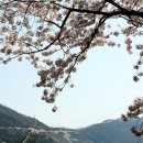 안민고개길 이미지