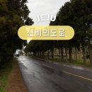 제주도 동쪽 핫플레이스 신비의도로 제주 도깨비도로 체험