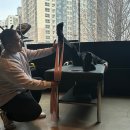 구월동 PT 닥터피티 | 재활 메디컬 PT 전문, 닥터피티에서 3주차 후기 [구월동PT 닥터피티]