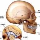 턱빠짐 턱 빠졌을때 턱관절 통증 소리 있다면 주의하자 이미지