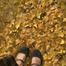 지선농장 이미지