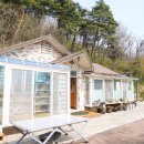 정자네 펜션 | 텃밭 채소와 야외 정자까지, 시골 할머니 댁 같았던 강릉펜션 성산별빛펜션 힐링 여행 후기!