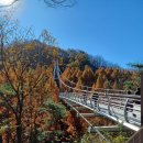 장태산휴양림 이미지