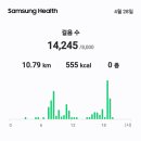 SKT문경새재대리점중앙직영점을찾아가옆지기휴대폰까지유심보호서비스가입을오이와아삭이비타민고추모종텃밭에정식 14,245보10.79km 이미지