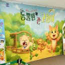 고양이숲 | 용인 상상의 숲 동물원에 간 고양이 공연 추천 후기