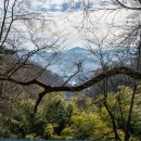 죽림암 이미지