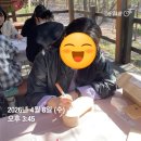 (임산부교육) 금천구보건소 숲태교교실 6주 프로그램 수강 후기