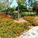 신영정미소 이미지