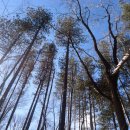 (주)헤리 이미지