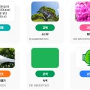 피앤비솔루션(주)