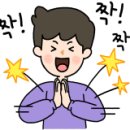 [신제품] 카무이 캐롬 팁(kamui Carom Tip) 출시! 이미지