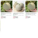 동이농장 이미지