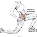 근력스트레칭(2) 이미지