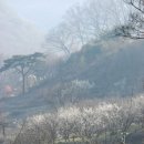 고향생각 이미지