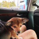 해산민박 이미지