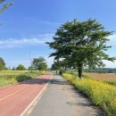 강계봉진막국수 이미지