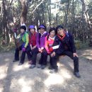 입석초교 이미지