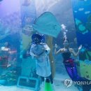 롯데월드아쿠아리움 이미지