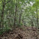 까치산경로당 이미지