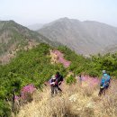 진달래밥상 이미지